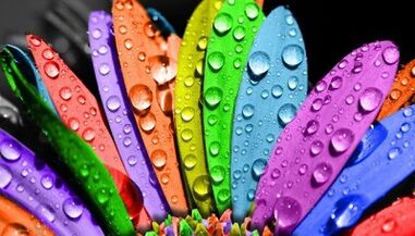 як схуднути на дієті 6 пелюсток